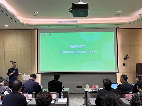 1766543383170898.jpg 3.jpg